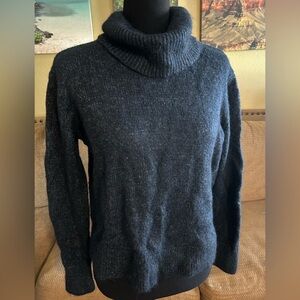 Banana Republic Dark Blue Turtleneck Sweater